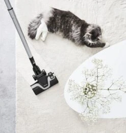 Rowenta Silence Force Allergy+ RO7740 - Stofzuiger Met Zak -Reinigingsapparaten Winkel 1140x1200 1