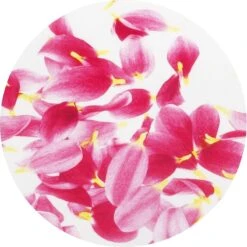 Brabantia Strijkplank B - Met Strijkerhouder - 124x38 Cm - Pink Santini -Reinigingsapparaten Winkel 1200x1198 27