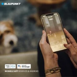 Blaupunkt Bluebot XVAC – Robotstofzuiger Met Laadstation - Met Optie Tot Dweilfunctie – Slimme Gyro Navigatie 20 Blaupunkt Bluebot XVAC – Robotstofzuiger Met Laadstation - Met Optie Tot Dweilfunctie – Slimme Gyro Navigatie -Reinigingsapparaten Winkel 1200x1200 518