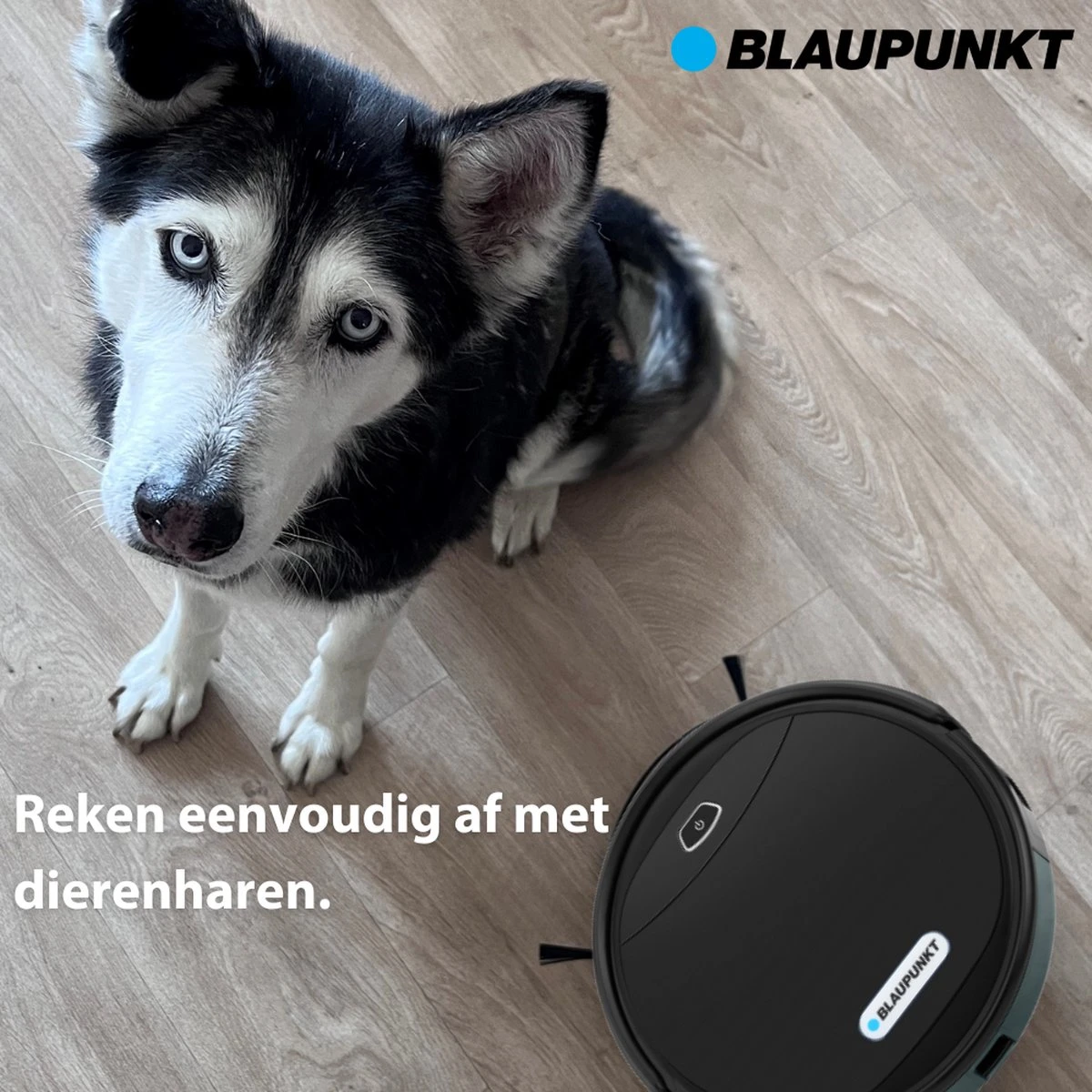Blaupunkt Bluebot XPOWER Robotstofzuiger - 3in1 Robotstofzuiger Met Dweilfunctie - Stofzuiger Met App 6 Blaupunkt Bluebot XPOWER Robotstofzuiger - 3in1 Robotstofzuiger Met Dweilfunctie - Stofzuiger Met App - Afbeelding 4