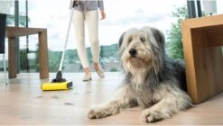 Kärcher KB 5 Rolveger - Vloerreiniger - 3,7V - Incl. Accu En Lader -Reinigingsapparaten Winkel 1200x679