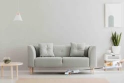 PRIMO PR500SV Stofzuiger Zonder Zak - 3-in-1 Steelstofzuiger Draadloos - Kruimelzuiger - HEPA Filter - Wit/Peach 15 PRIMO PR500SV Stofzuiger Zonder Zak - 3-in-1 Steelstofzuiger Draadloos - Kruimelzuiger - HEPA Filter - Wit/Peach -Reinigingsapparaten Winkel 1200x800 158