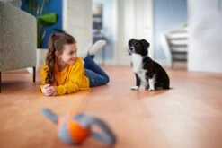 Philips Performer Compact 3000 Series XD3110/09 - Stofzuiger Met Zak -Reinigingsapparaten Winkel 1200x800 188