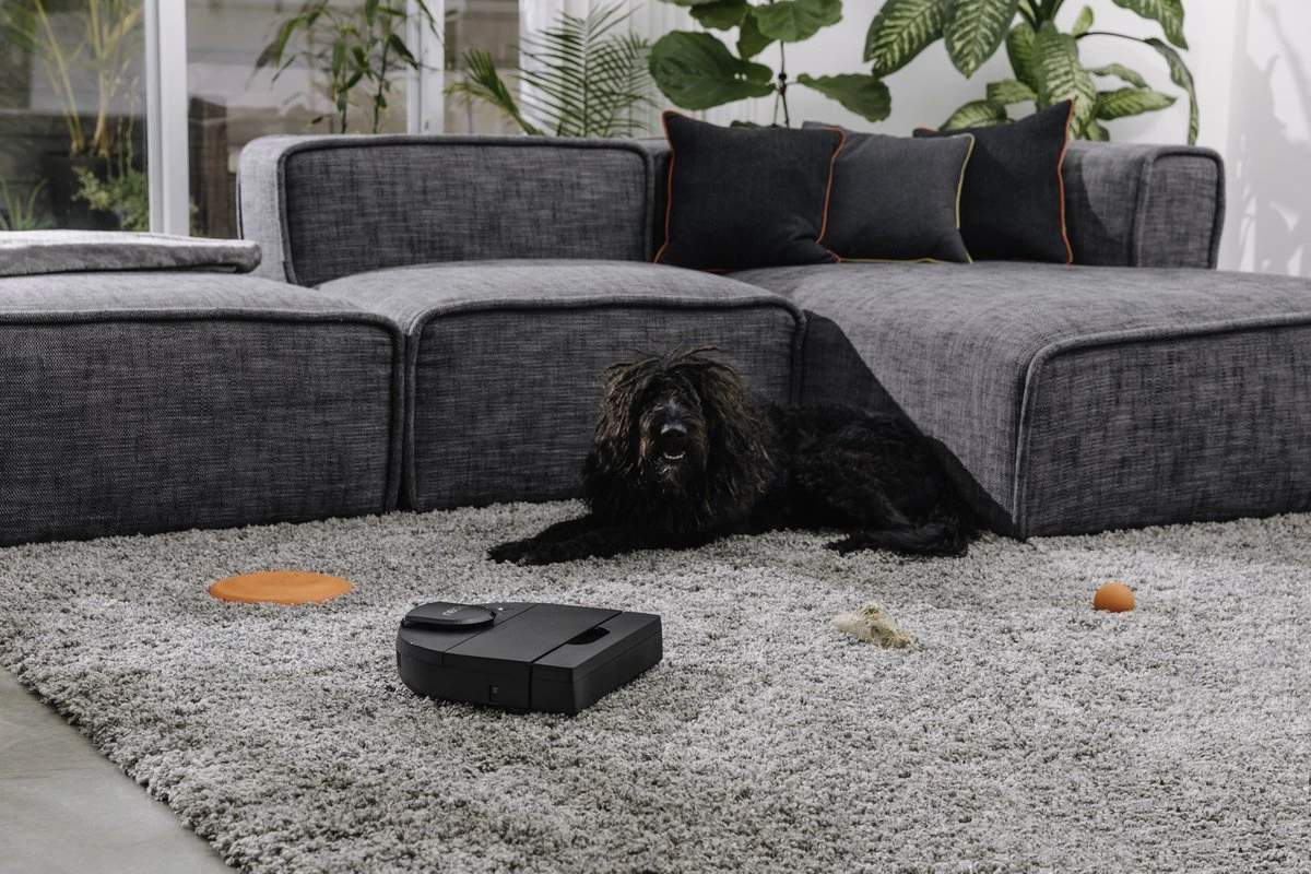 Neato® D9 Intelligente Robotstofzuiger - D-vormig Design, HEPA-filter, Lasermapping-navigatie - Bediening Via App - 200 Minuten Looptijd Met Automatisch Opladen/Hervatten - Zwart 15 Neato® D9 Intelligente Robotstofzuiger - D-vormig Design, HEPA-filter, Lasermapping-navigatie - Bediening Via App - 200 Minuten Looptijd Met Automatisch Opladen/Hervatten - Zwart - Afbeelding 13