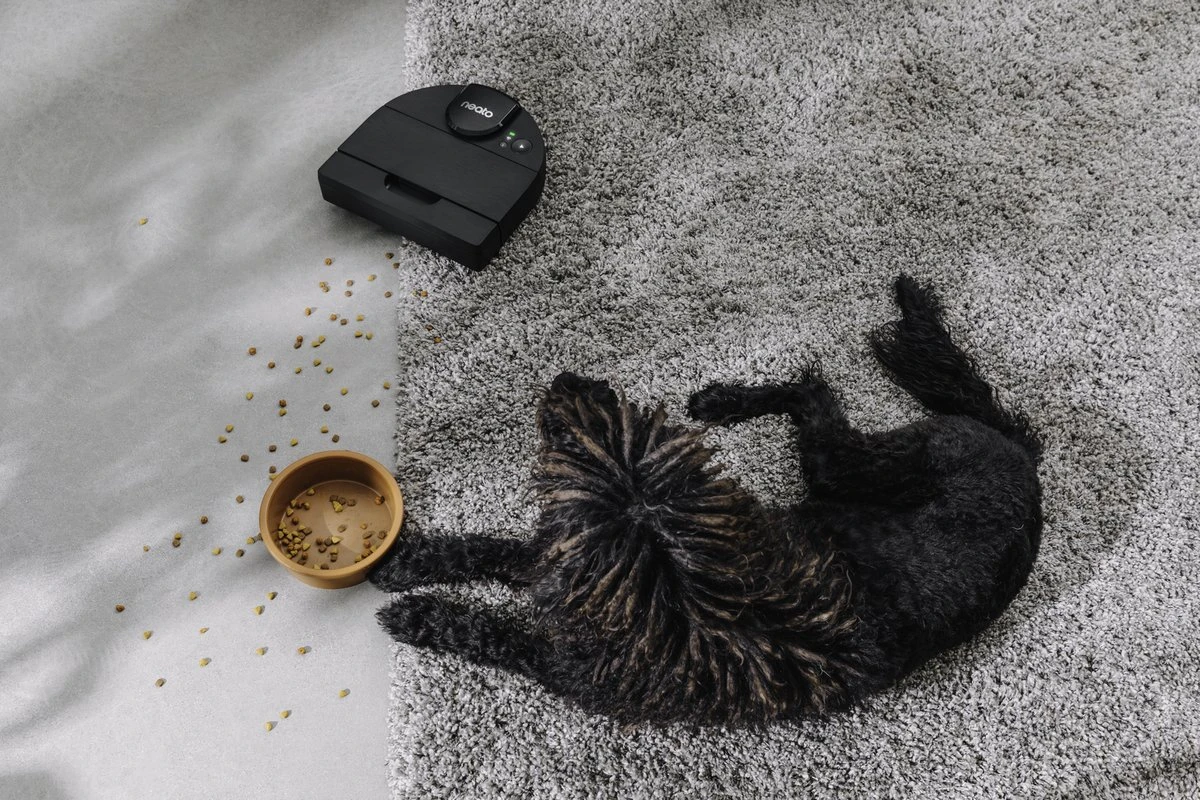 Neato® D9 Intelligente Robotstofzuiger - D-vormig Design, HEPA-filter, Lasermapping-navigatie - Bediening Via App - 200 Minuten Looptijd Met Automatisch Opladen/Hervatten - Zwart 19 Neato® D9 Intelligente Robotstofzuiger - D-vormig Design, HEPA-filter, Lasermapping-navigatie - Bediening Via App - 200 Minuten Looptijd Met Automatisch Opladen/Hervatten - Zwart - Afbeelding 17